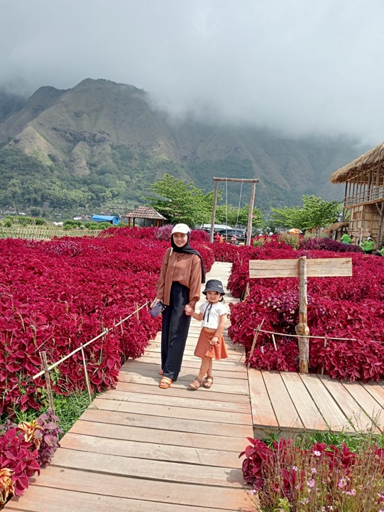 galeri klien - in lombok trans