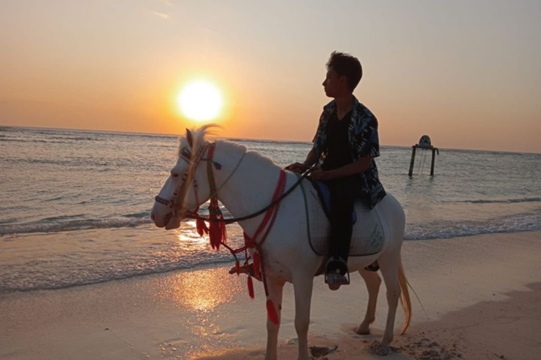 Pengalaman Klien dengan Layanan Sewa Mobil In Lombok Trans