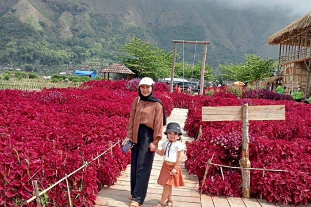 Perjalanan Klien dengan Sewa Mobil dan Driver di Lombok